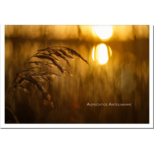 metALUm Karte zur Trauer HOFFNUNG- Sonnenuntergang - 3501007
