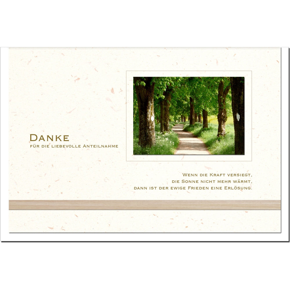 Trauer Danksagungskarten Motiv Waldweg im 5er Set mit weißen Umschlägen