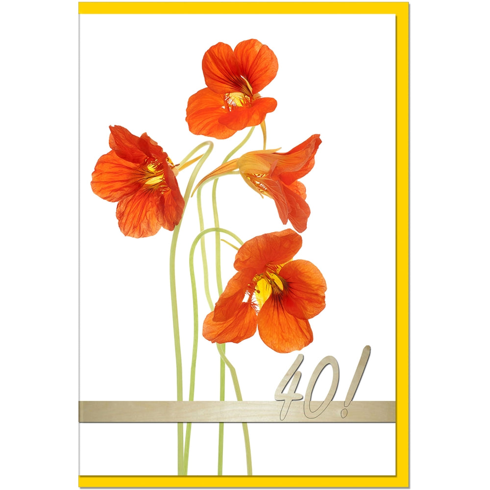 metALUm Geburtstagskarte ZAHLENKARTE 40. GEBURTSTAG - 1218003S