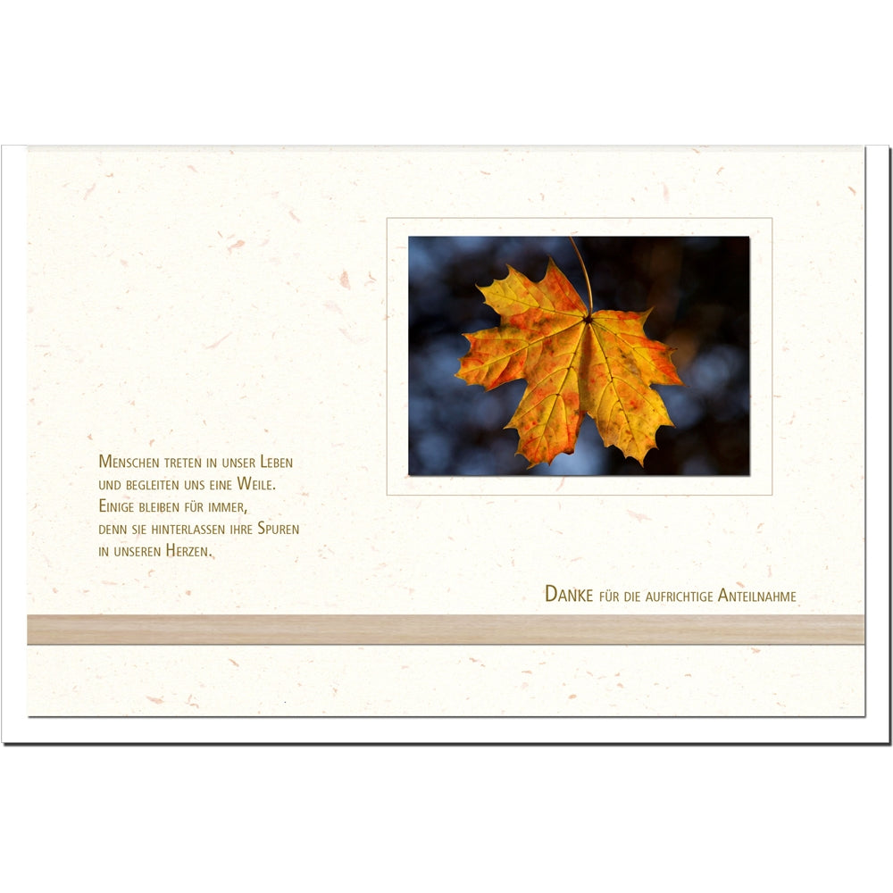 Trauer Danksagungskarten Motiv Herbstblatt im 5er Set mit weißen Umschlägen