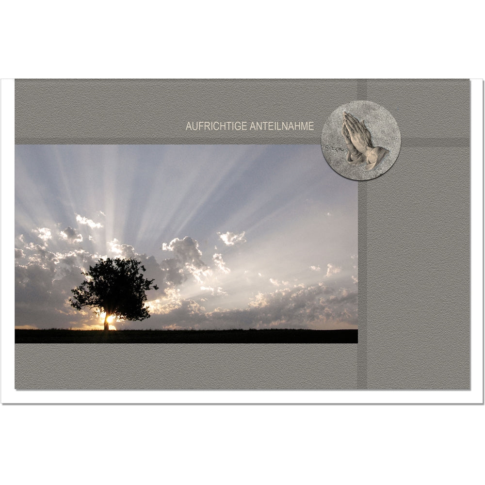 Trauerkarte Beileidskarte Kondolenzkarte Anteilnahme Baum Sonnenuntergang
