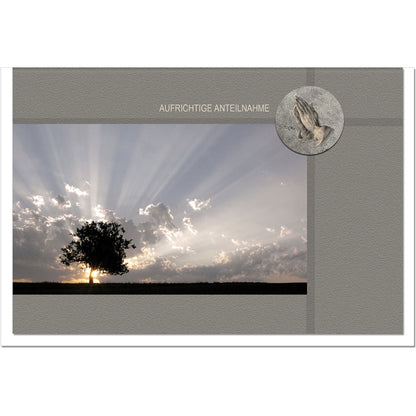Trauerkarte Beileidskarte Kondolenzkarte Anteilnahme Baum Sonnenuntergang
