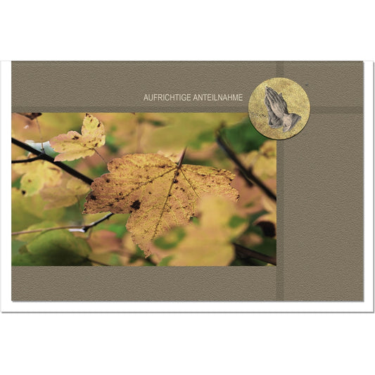 Trauerkarte Beileidskarte Kondolenzkarte Anteilnahme Stilles Gebet Herbstlaub