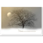 Trauer Danksagungskarten Motiv Baum im Winter im 5er Set mit weißen Umschlägen