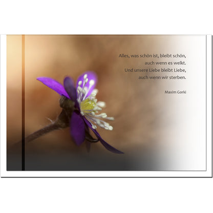 Trauerkarte ERINNERUNG - Zarte Blüte - metALUm # 3300044