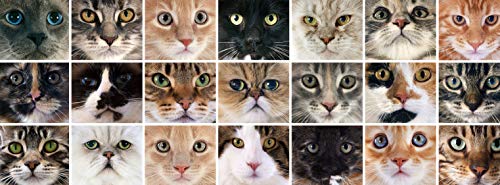 metALUm Kaffeetasse Katzen # 330010001