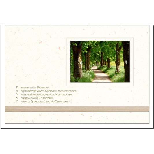 Trauer Danksagungskarten Waldweg im 5er Set mit weißen Umschlägen