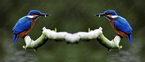 metALUm Kaffeetasse Eisvogel # 3300100149