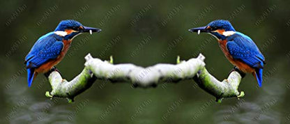 metALUm Kaffeetasse Eisvogel # 3300100149