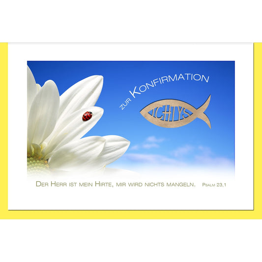 Grußkarten XXL/Marienkäfer/Konfirmation