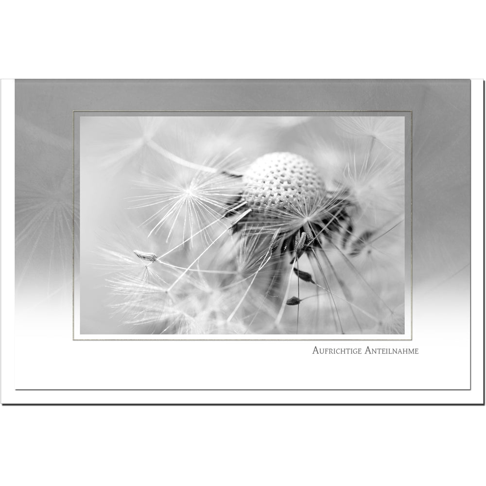 Trauerkarte ABSCHIED - Pusteblume - metALUm # 3300036