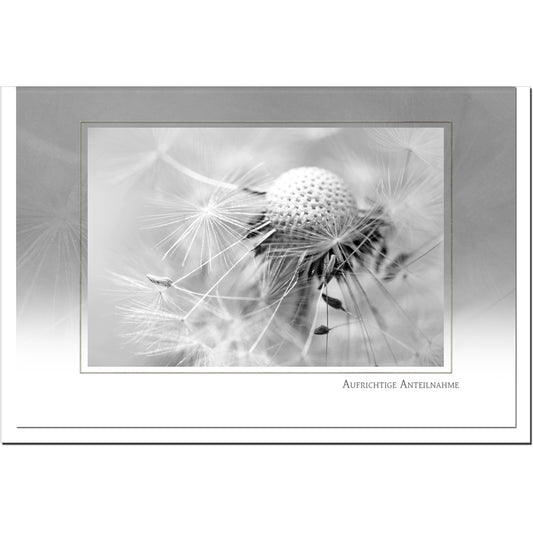 Trauerkarte ABSCHIED - Pusteblume - metALUm # 3300036