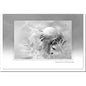 Trauerkarte ABSCHIED - Pusteblume - metALUm # 3300036