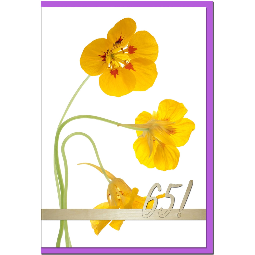 metALUm Geburtstagskarte ZAHLENKARTE 65. GEBURTSTAG - 1218006S