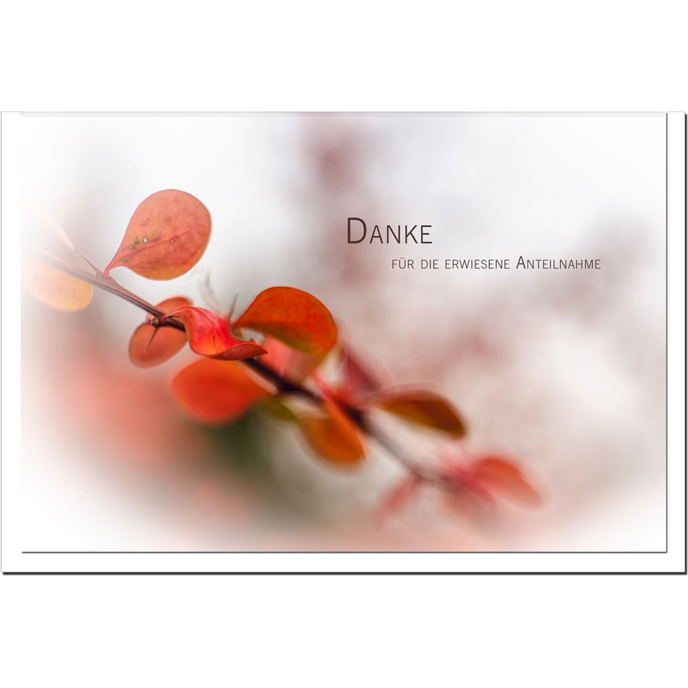 Trauer Danksagungskarten Motiv Herbst im 5er Set mit weißen Umschlägen