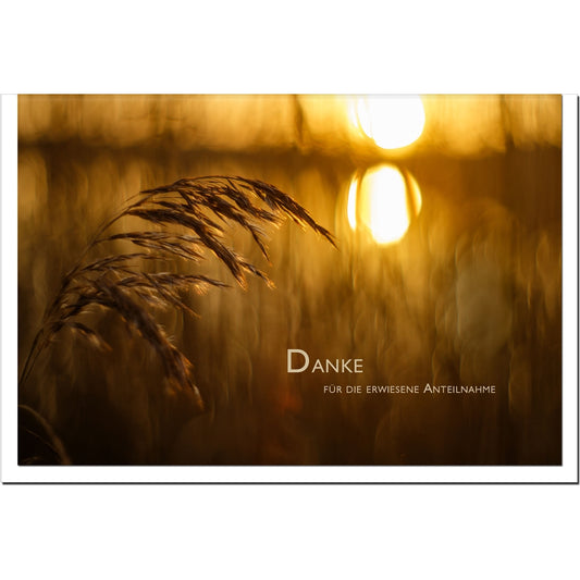 Trauer Danksagungskarten Motiv Sonne am Abend im 5er Set mit weißen Umschlägen