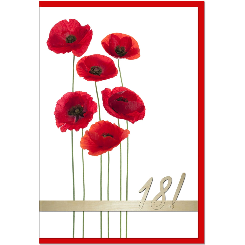metALUm Geburtstagskarte ZAHLENKARTE 18. GEBURTSTAG - 1218001S