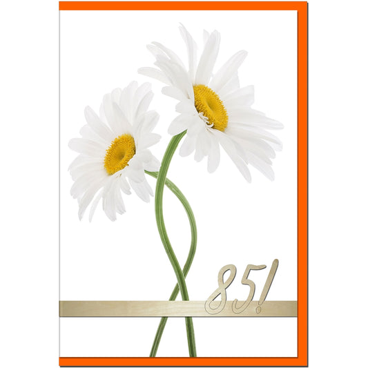 metALUm Geburtstagskarte ZAHLENKARTE 85. GEBURTSTAG - 1218010S