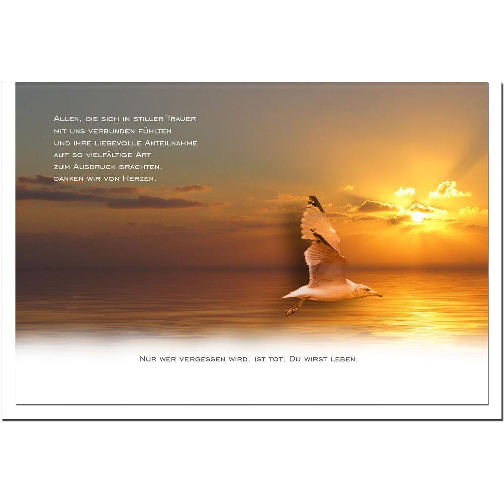 Trauer Danksagungskarten Möwe im 5er Set mit weißen Umschlägen