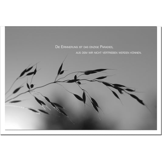 Trauerkarte ERINNERUNG - Zarter Halm - metALUm # 3300008