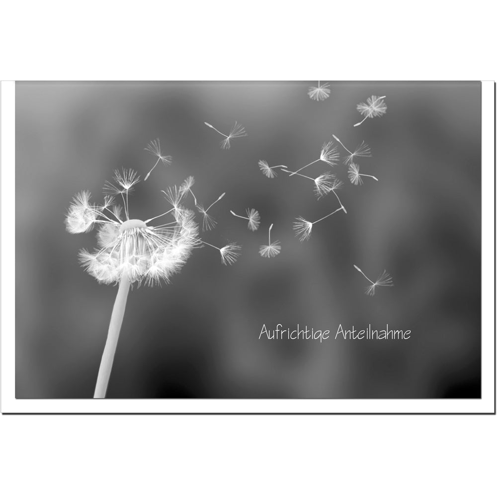 Trauerkarte ABSCHIED - Pusteblume - metALUm # 3300007