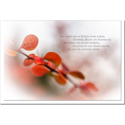 metALUm Karte zur Trauer SPUREN- Herbst - 3501006