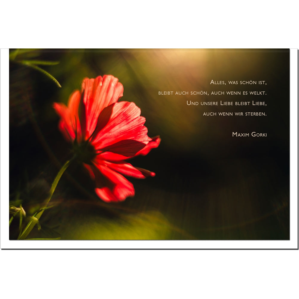 metALUm Karte zur Trauer HOFFNUNG- Anemone - 3501003