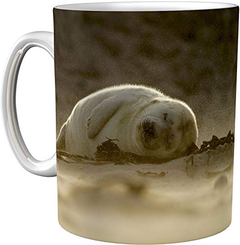 metALUm Kaffeetasse Robben # 330010120