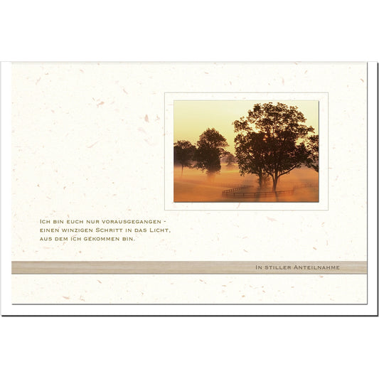 Kondolenzkarte VORAUSGEGANGEN - Bäume im Nebel - metALUm #00550