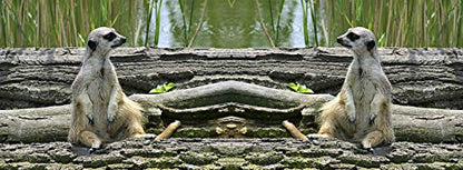 metALUm Kaffeetasse Erdmännchen # 330010081