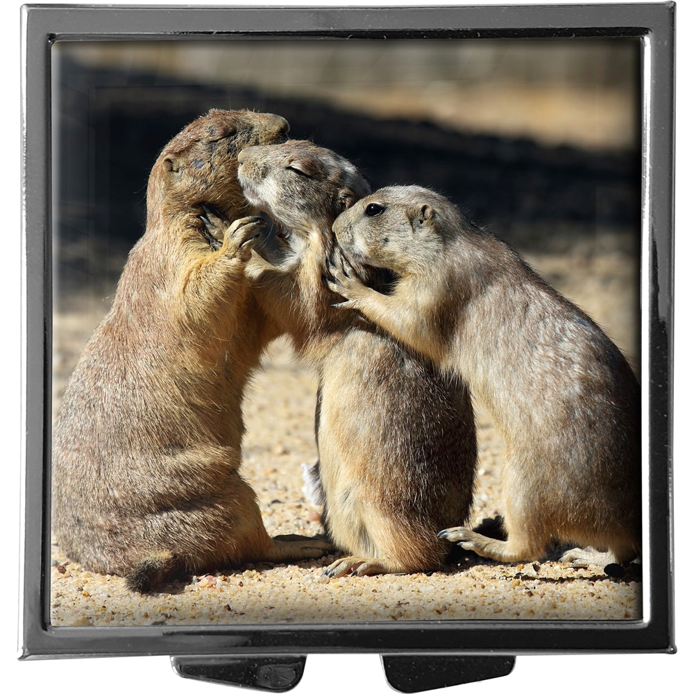 metALUm XXL Pillendose quadratisch 4 Fächer Eichhörnchen #0005