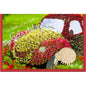 metALUm Geburtstagskarte AUTO VOLLER BLUMEN - 1206004S