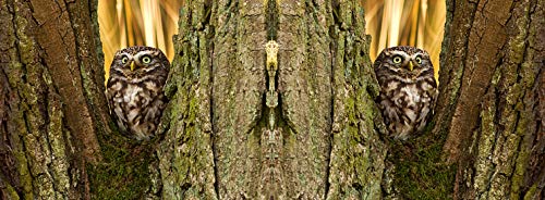 metALUm Kaffeetasse Eulen # 330010065