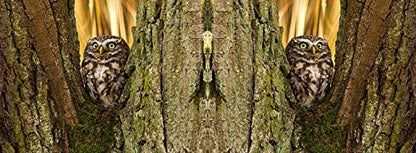 metALUm Kaffeetasse Eulen # 330010065