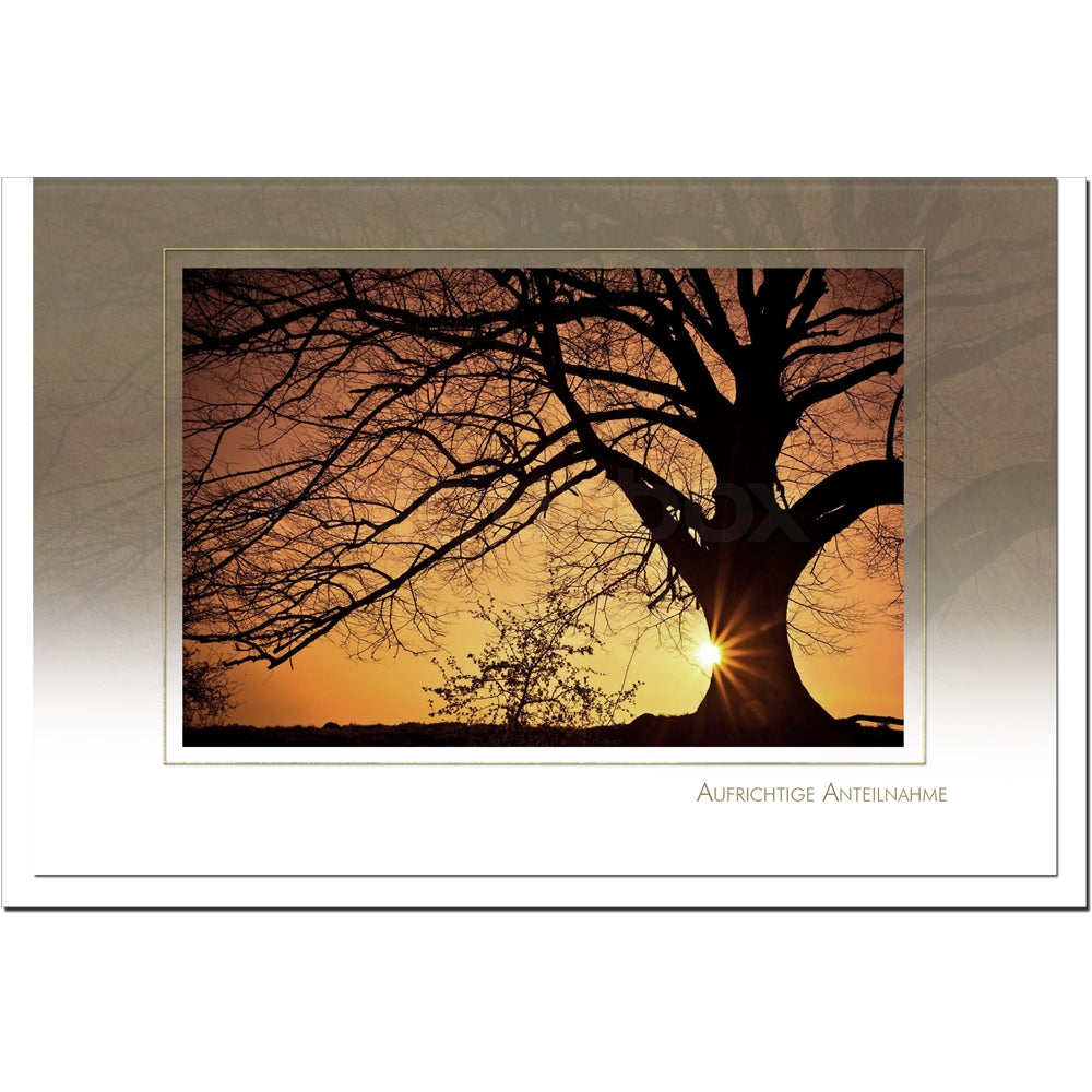 Trauerkarte ABEND - Baum im Sonnenuntergang - metALUm # 3300031