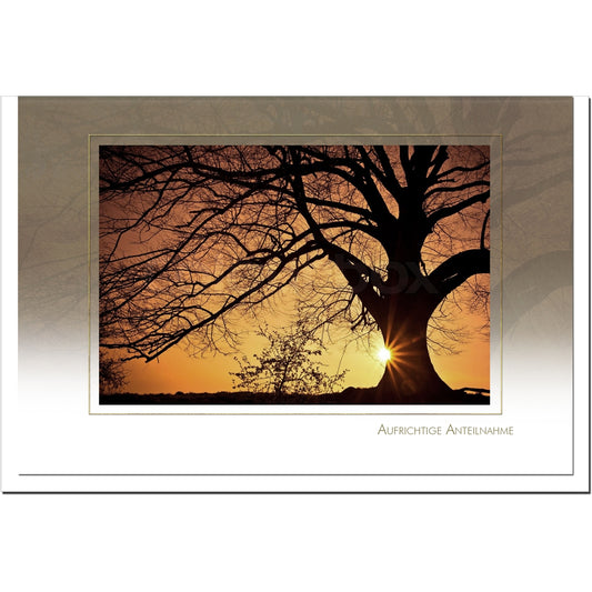 Trauerkarte ABEND - Baum im Sonnenuntergang - metALUm # 3300031
