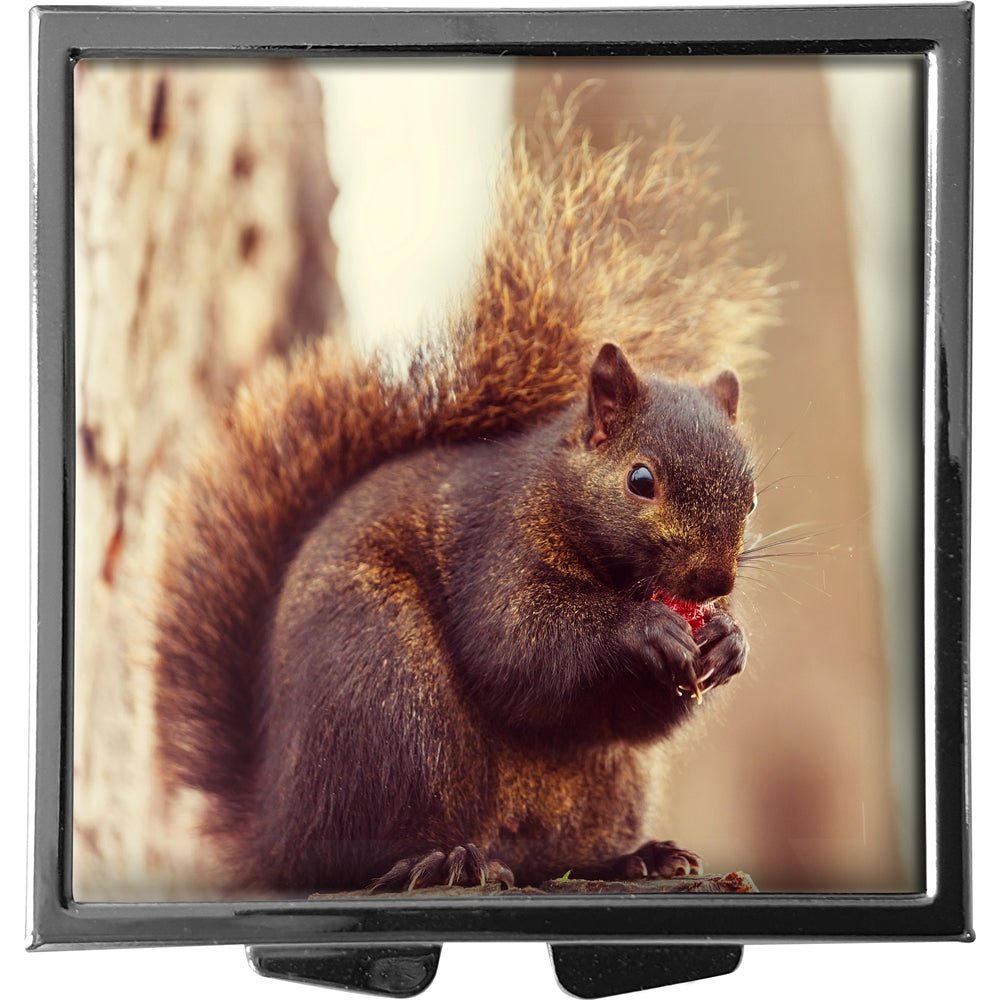 metALUm XXL Pillendose quadratisch 4 Fächer Eichhörnchen #0006