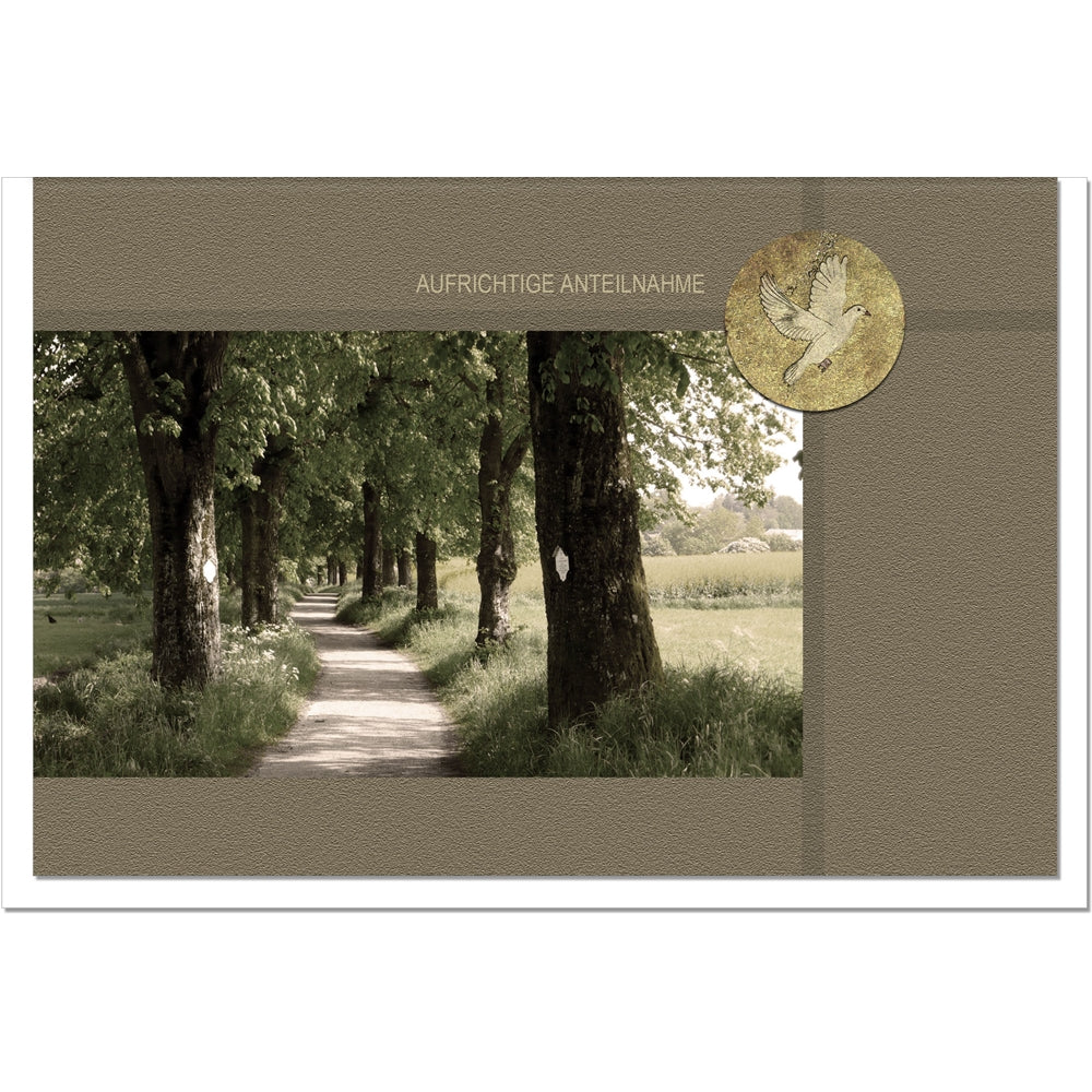 Trauerkarte Beileidskarte Kondolenzkarte Anteilnahme Vorausgegenagen Waldweg