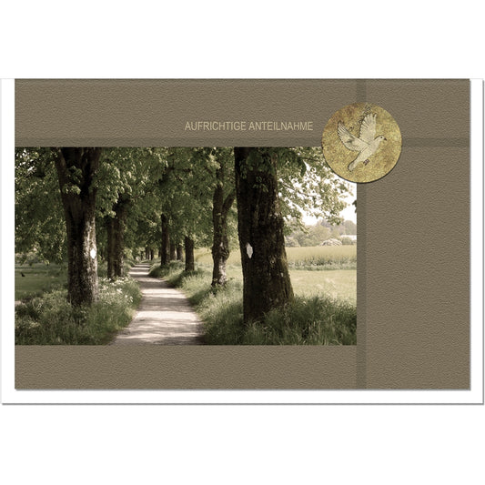 Trauerkarte Beileidskarte Kondolenzkarte Anteilnahme Vorausgegenagen Waldweg