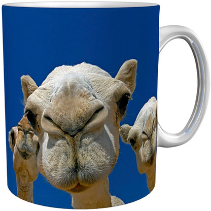 metALUm Kaffeetasse Kamele # 330010037