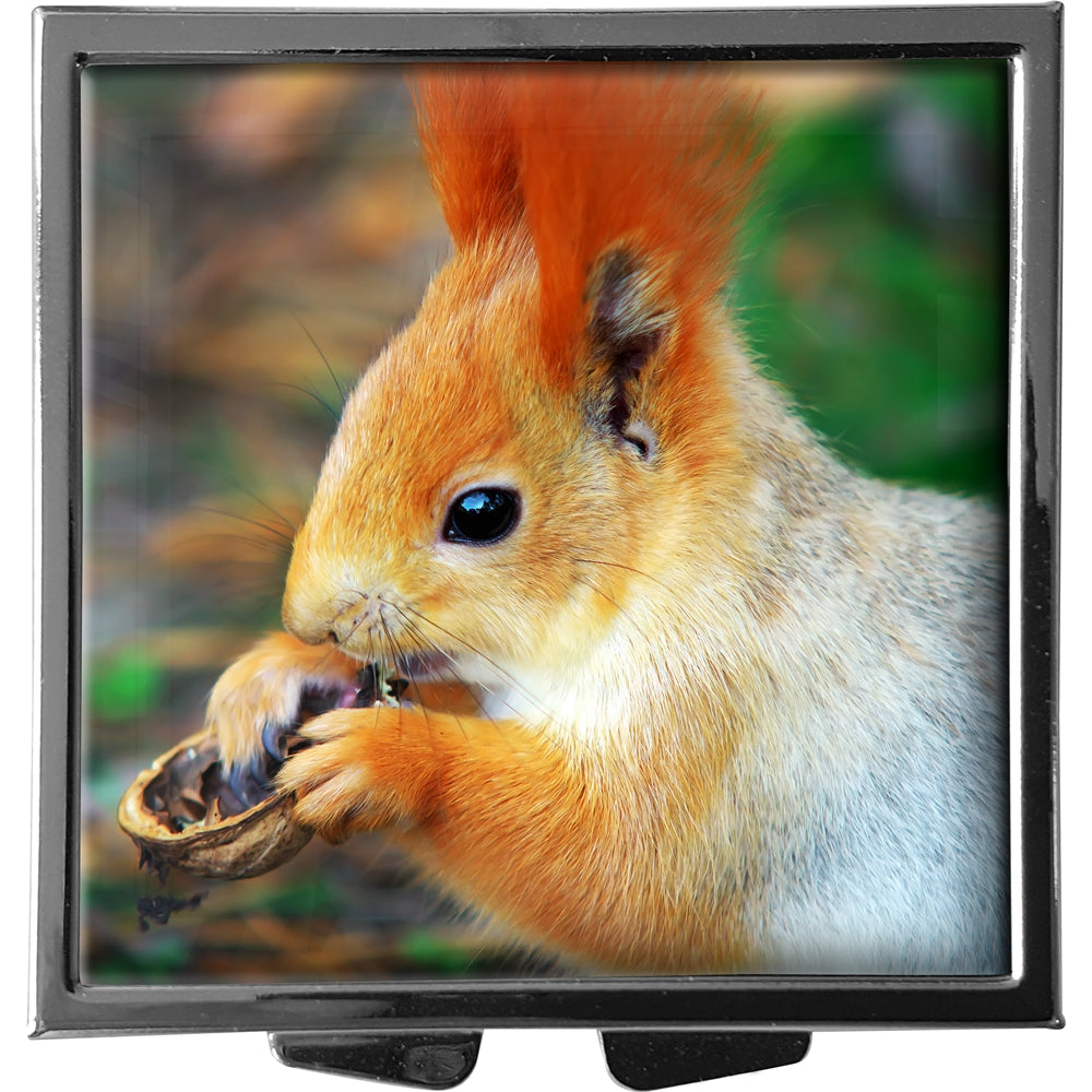 metALUm XXL Pillendose quadratisch 4 Fächer Eichhörnchen #0008