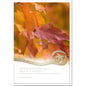 Trauerkarten XXL/Herbstlaub