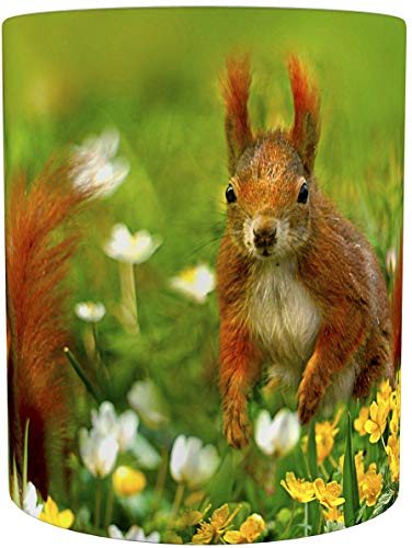 metALUm Kaffeetasse Eichhörnchen # 330010055