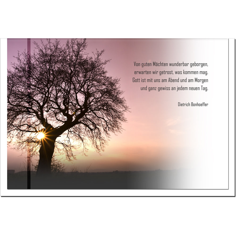 Trauerkarte ZUVERSICHT - Baum im Sonnenuntergang - metALUm # 3300046