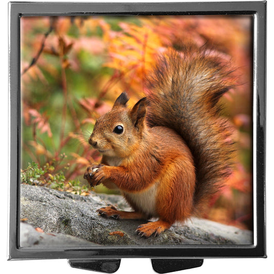 metALUm XXL Pillendose quadratisch 4 Fächer Eichhörnchen #0007