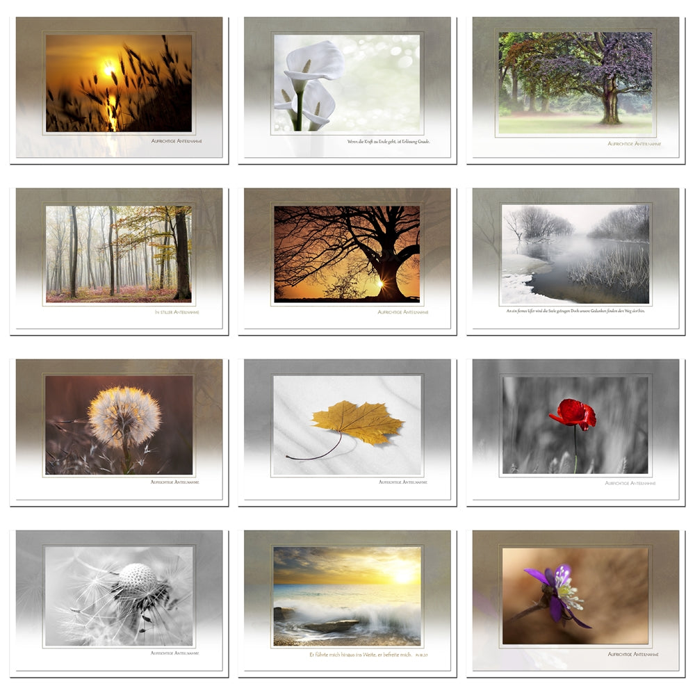 metALUm 12 wunderschöne, ausgefallene Trauerkarten Beileidskarten Kondolenzkarten im Set